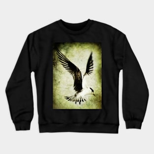 Emancipate Crewneck Sweatshirt